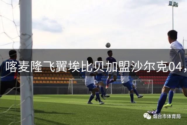喀麦隆飞翼埃比贝加盟沙尔克04，助力球队冲击德甲