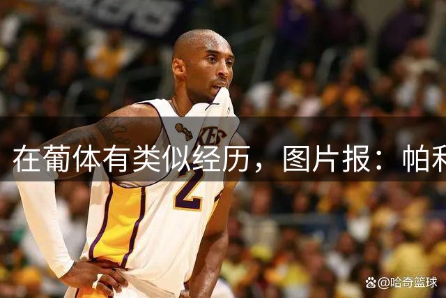 在葡体有类似经历，图片报：帕利尼亚从未放弃在拜仁证明自己